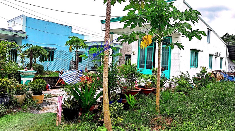 Bán đất xã phước vĩnh an 5,5m dài 50m 1ty4 thương lượng