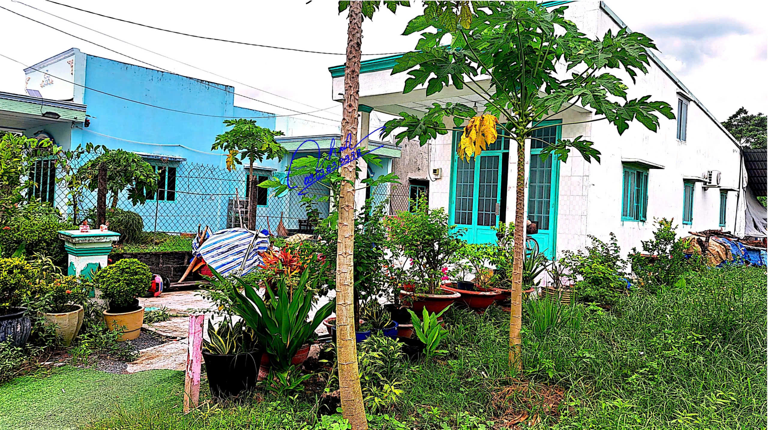 Bán đất xã phước vĩnh an 5,5m dài 50m 1ty4 thương lượng